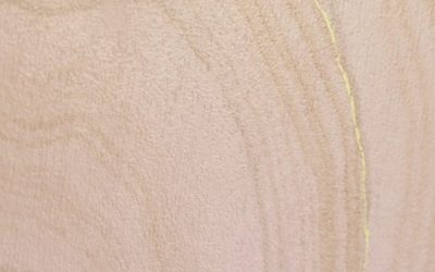 FAUX MARBRES : décor fantaisie pour design contemporain